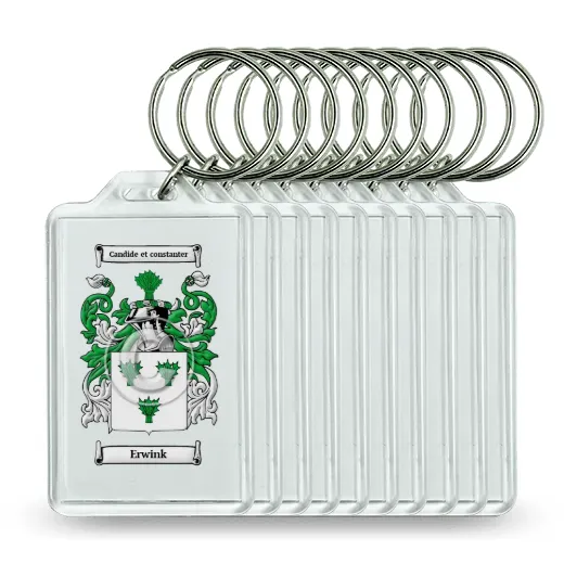 Erwink Set of 10 Keychains