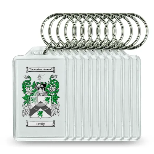 Evelly Set of 10 Keychains
