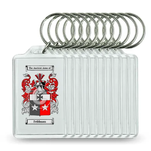 Feldman Set of 10 Keychains