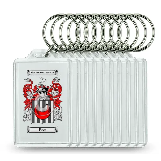 Foye Set of 10 Keychains