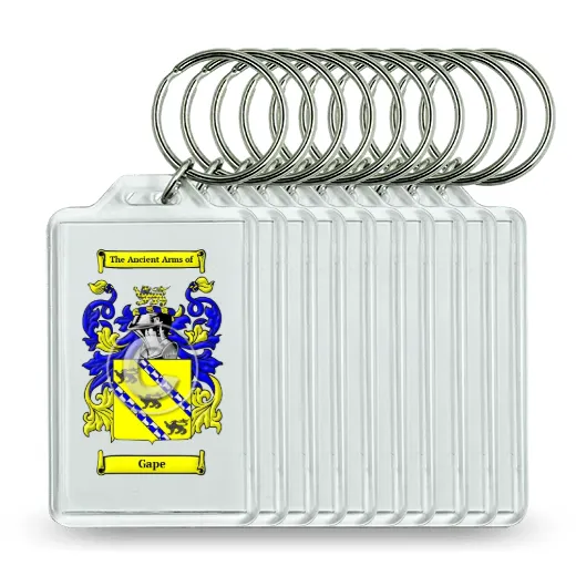 Gape Set of 10 Keychains