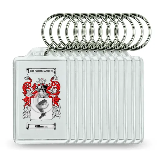 Gillmant Set of 10 Keychains