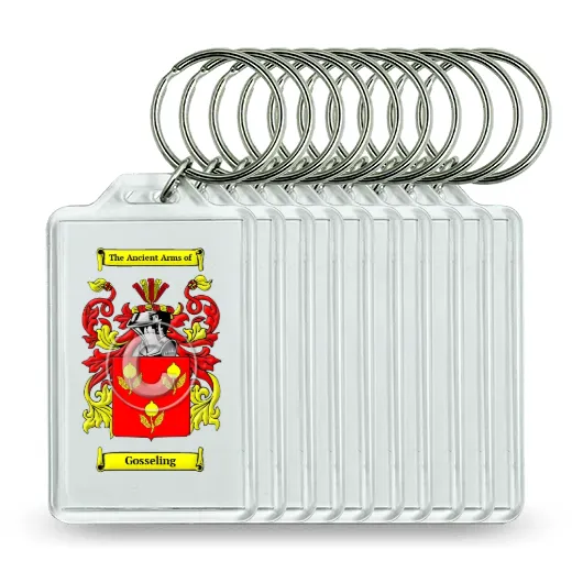 Gosseling Set of 10 Keychains