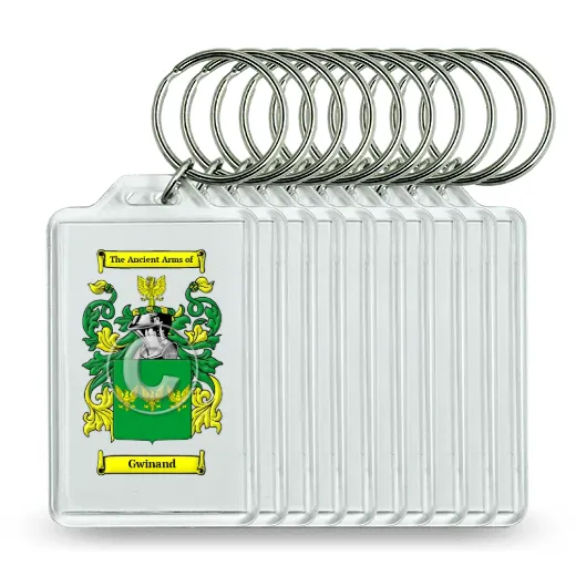 Gwinand Set of 10 Keychains