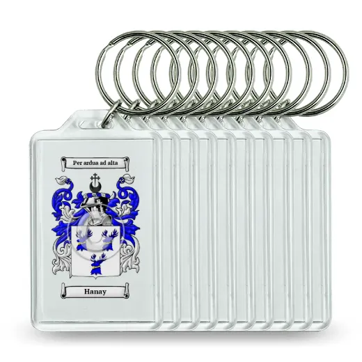 Hanay Set of 10 Keychains