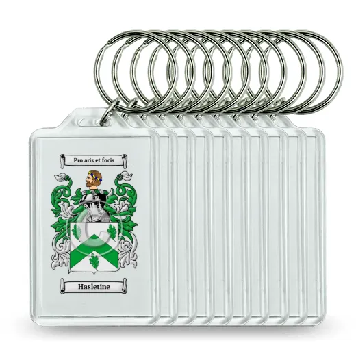 Hasletine Set of 10 Keychains