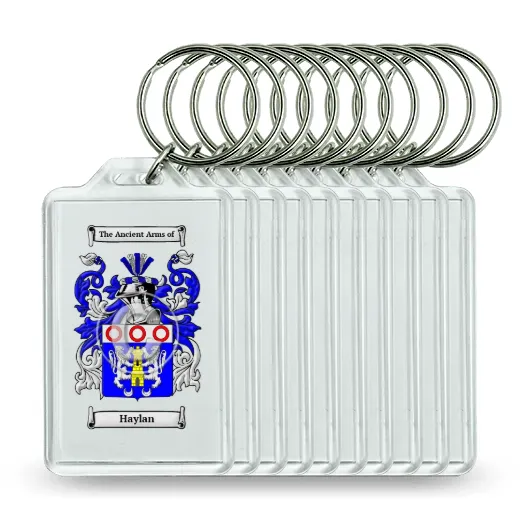 Haylan Set of 10 Keychains