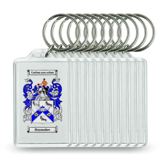 Haymaker Set of 10 Keychains