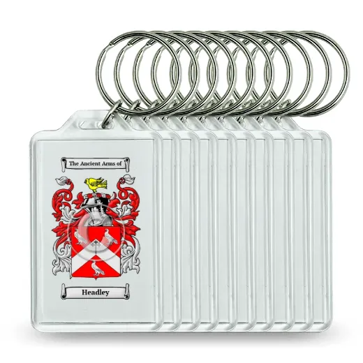 Headley Set of 10 Keychains