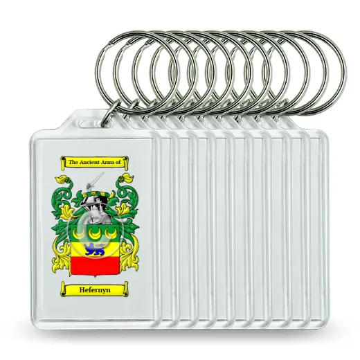 Hefernyn Set of 10 Keychains