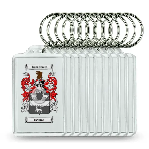 Helison Set of 10 Keychains