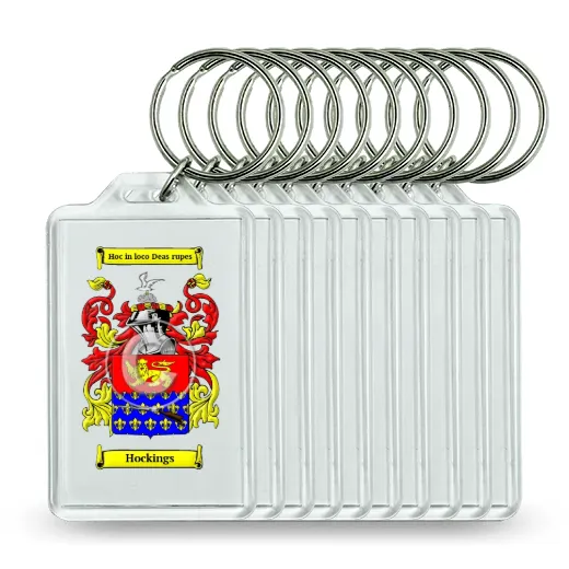 Hockings Set of 10 Keychains