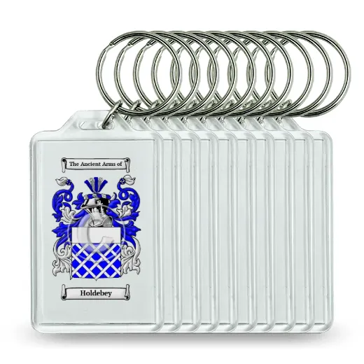 Holdebey Set of 10 Keychains