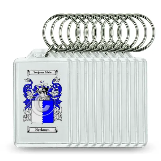 Hyckmyn Set of 10 Keychains