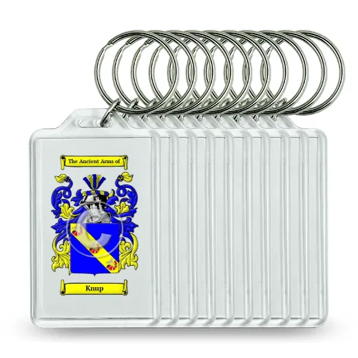 Knup Set of 10 Keychains