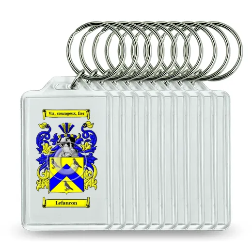 Lefaucon Set of 10 Keychains