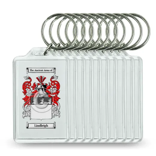 Lindleigh Set of 10 Keychains