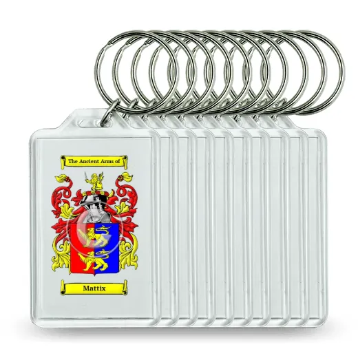 Mattix Set of 10 Keychains