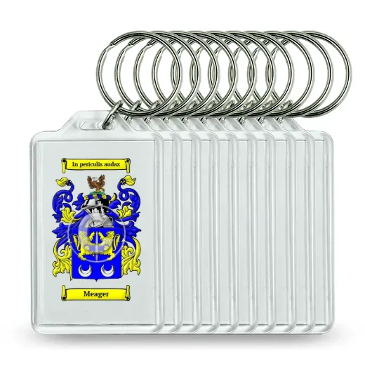 Meager Set of 10 Keychains