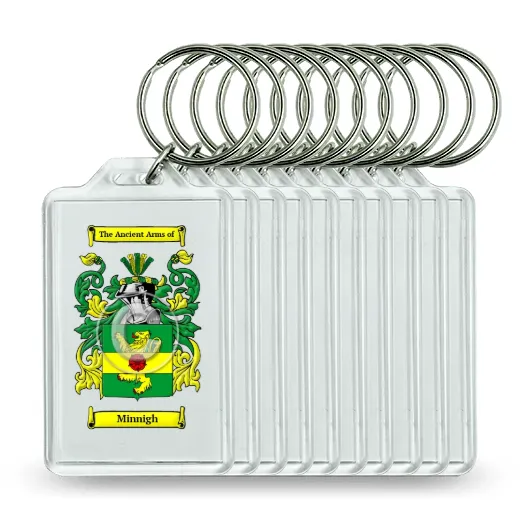 Minnigh Set of 10 Keychains