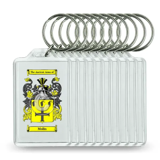 Molin Set of 10 Keychains