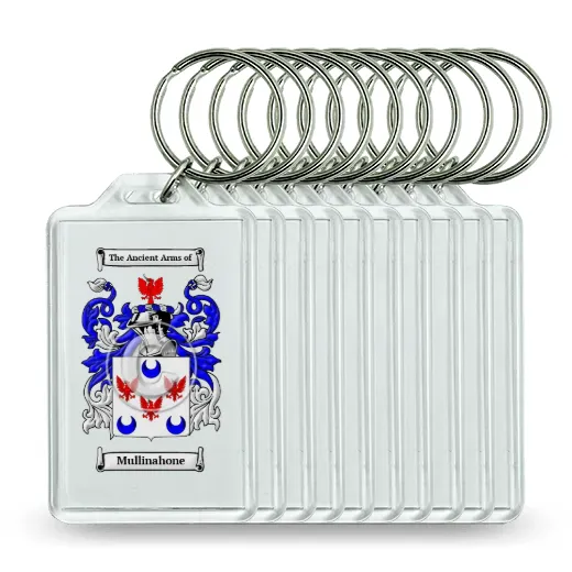 Mullinahone Set of 10 Keychains