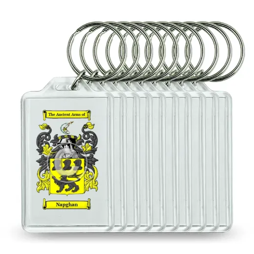 Napghan Set of 10 Keychains