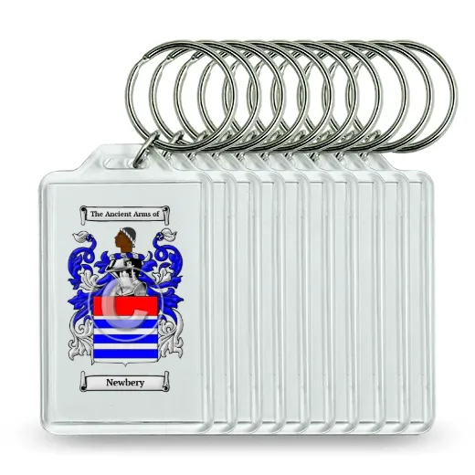 Newbery Set of 10 Keychains