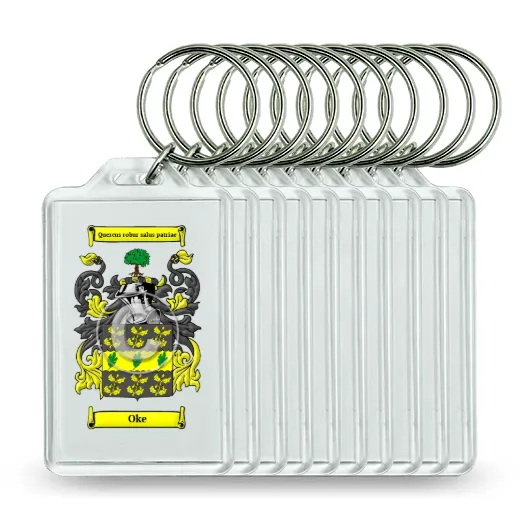 Oke Set of 10 Keychains