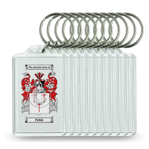 Pickle Set of 10 Keychains