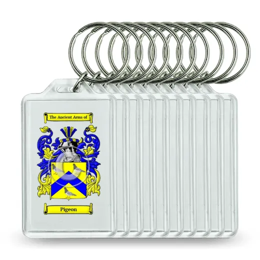 Pigeon Set of 10 Keychains