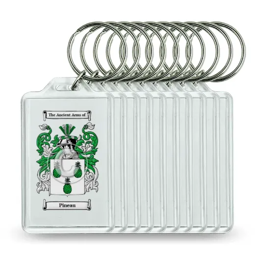 Pineau Set of 10 Keychains