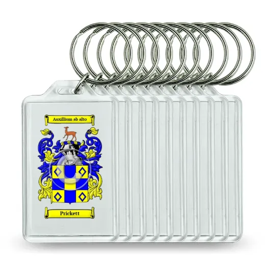 Prickett Set of 10 Keychains