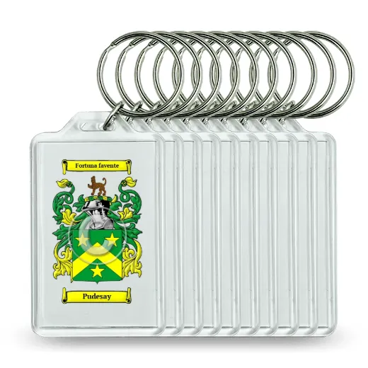 Pudesay Set of 10 Keychains