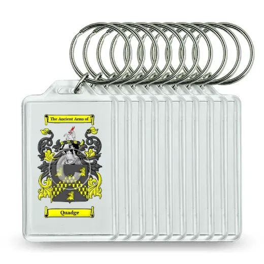 Quadge Set of 10 Keychains