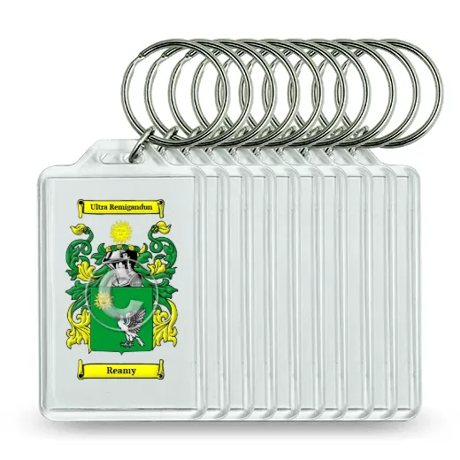 Reamy Set of 10 Keychains