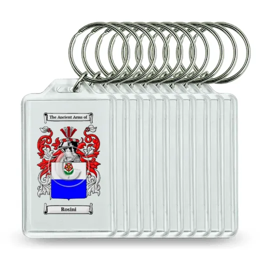 Rosini Set of 10 Keychains