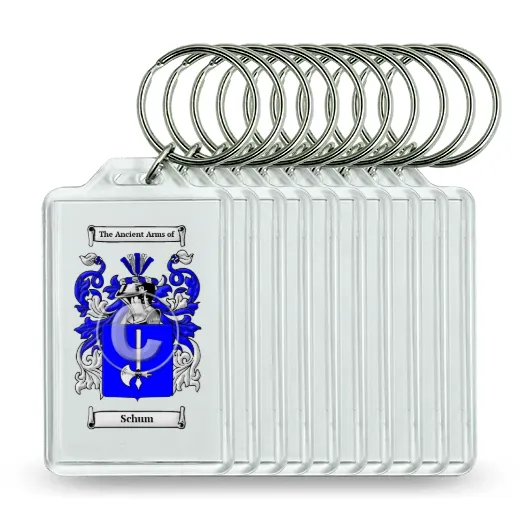 Schum Set of 10 Keychains