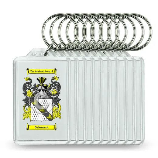 Selement Set of 10 Keychains