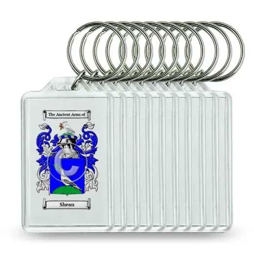 Shean Set of 10 Keychains