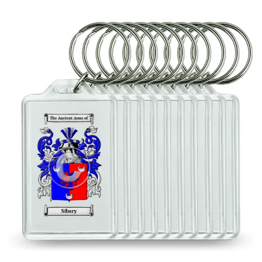 Sibary Set of 10 Keychains