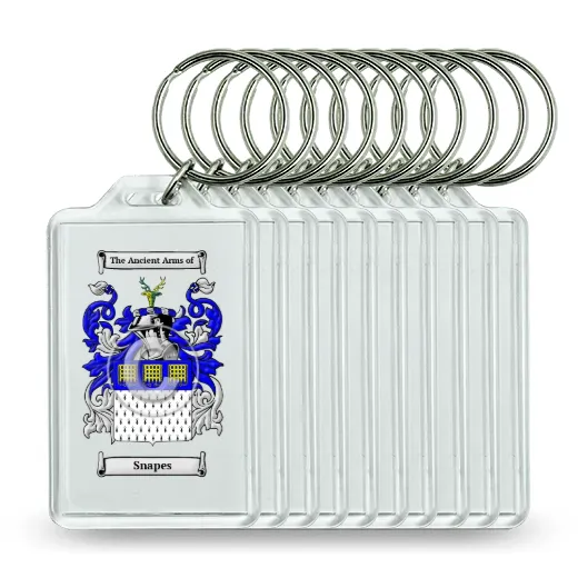 Snapes Set of 10 Keychains