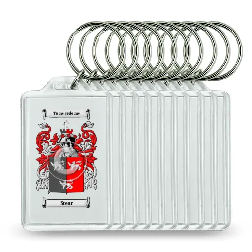 Stear Set of 10 Keychains