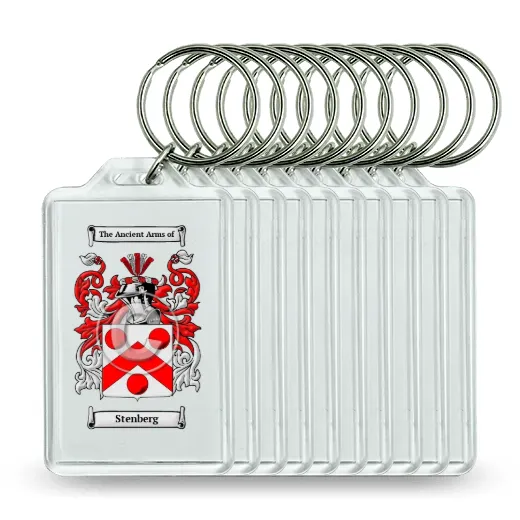 Stenberg Set of 10 Keychains