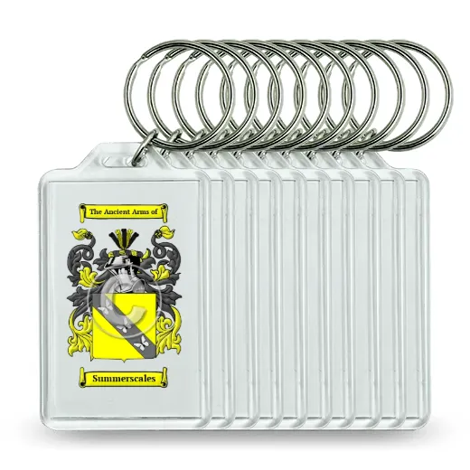 Summerscales Set of 10 Keychains