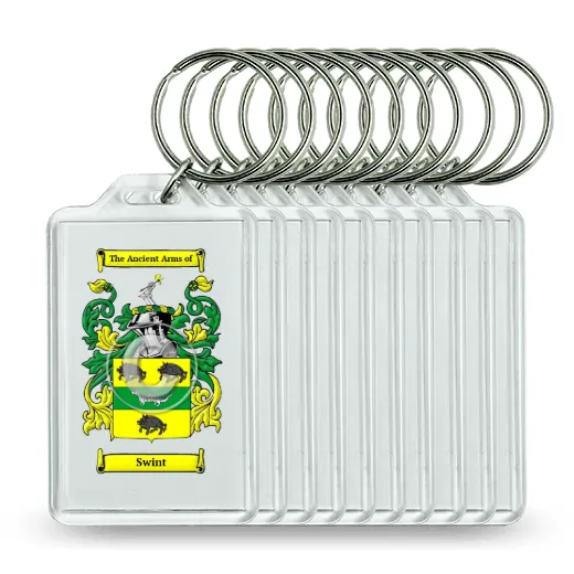 Swint Set of 10 Keychains