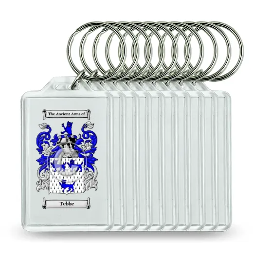Tebbe Set of 10 Keychains