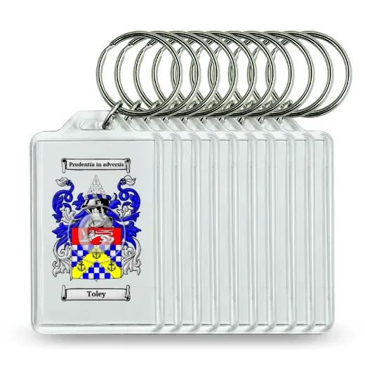 Toley Set of 10 Keychains