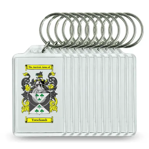 Treschomb Set of 10 Keychains