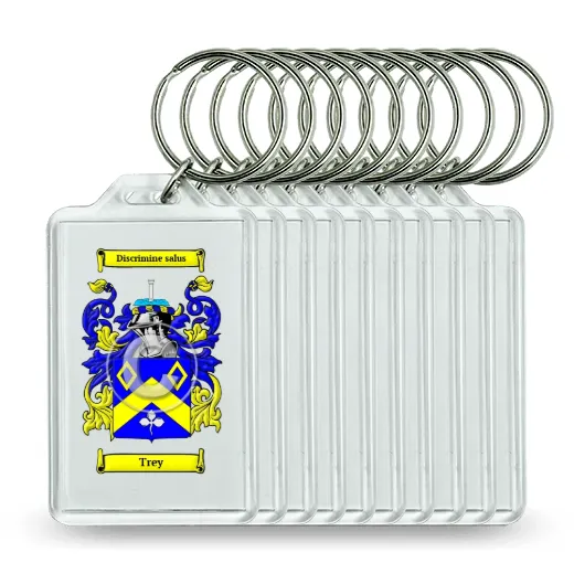 Trey Set of 10 Keychains